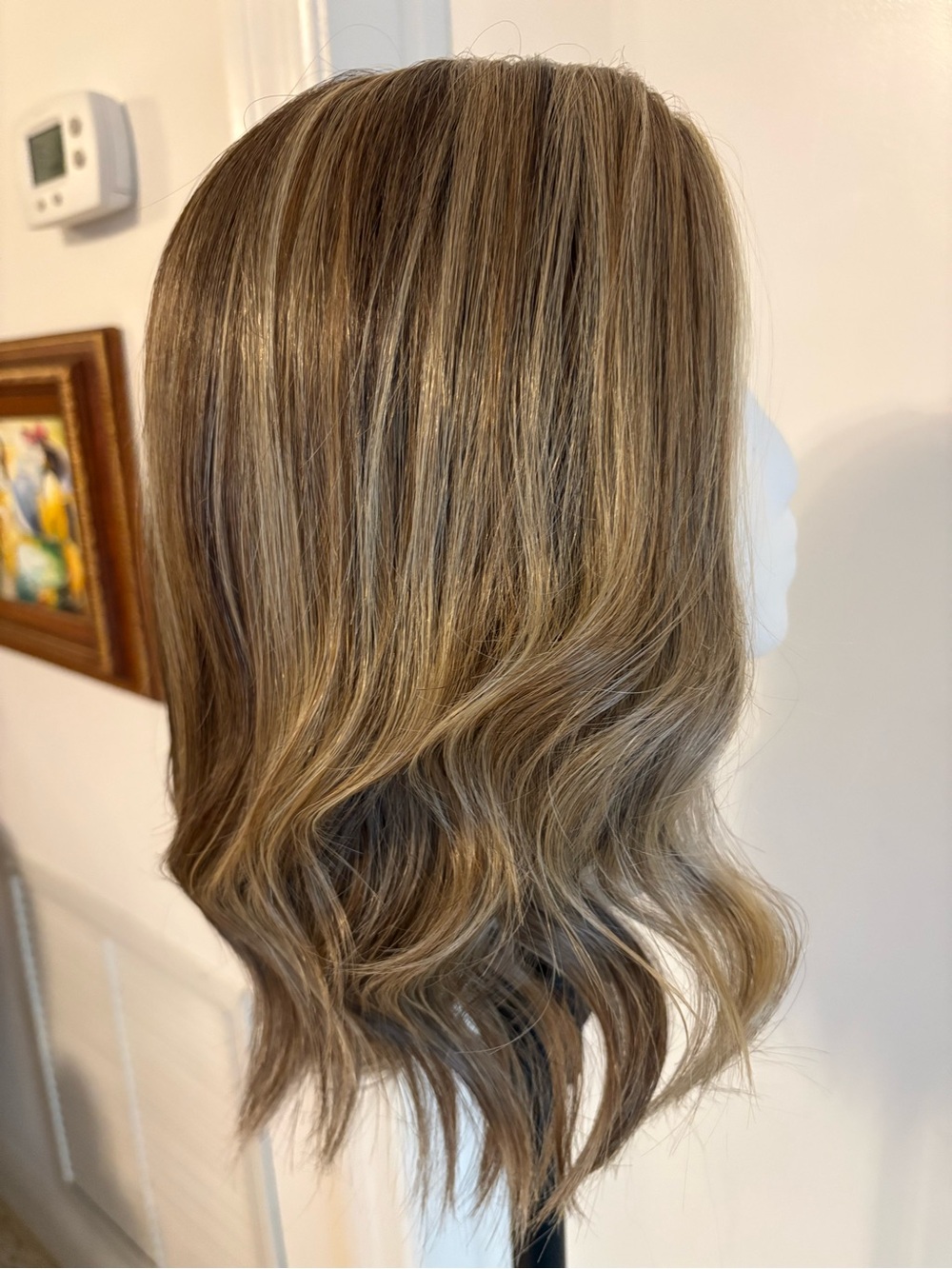 RAQUEL WELCH SIMMER ELITE! Shaded Cappuccino! Hand Tied! Excellent! Wavy! HF!